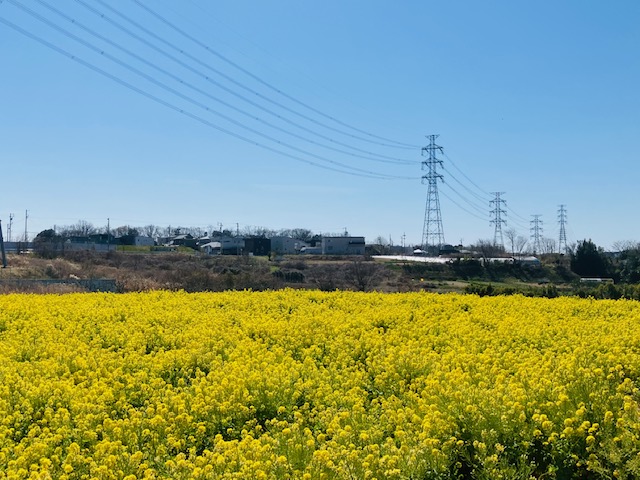 大学のホームページ