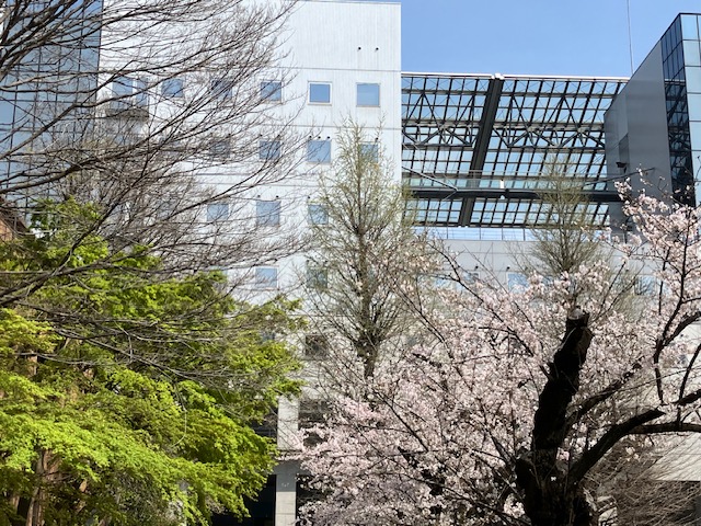 マスタークラス聴講