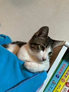 冬休み